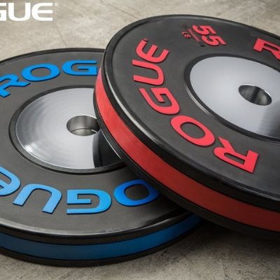 rogue fitness bumper plates