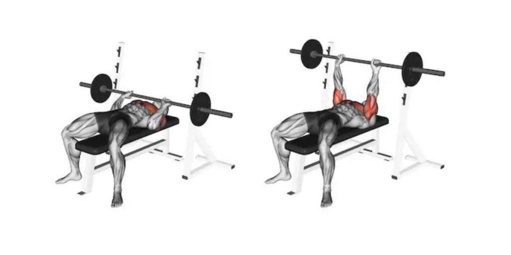 bench press exercise instruction