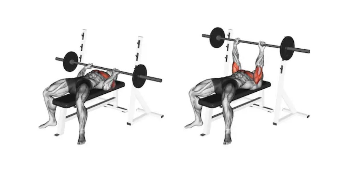 Dips Vs Bench Press Does It Really Matter? Do You Do Both?
