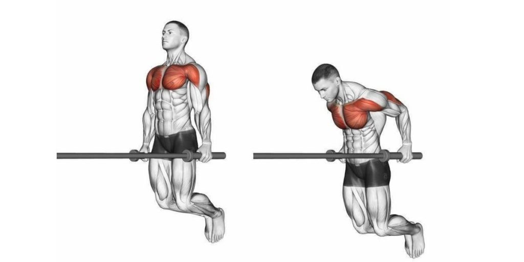chest dip exercise instruction