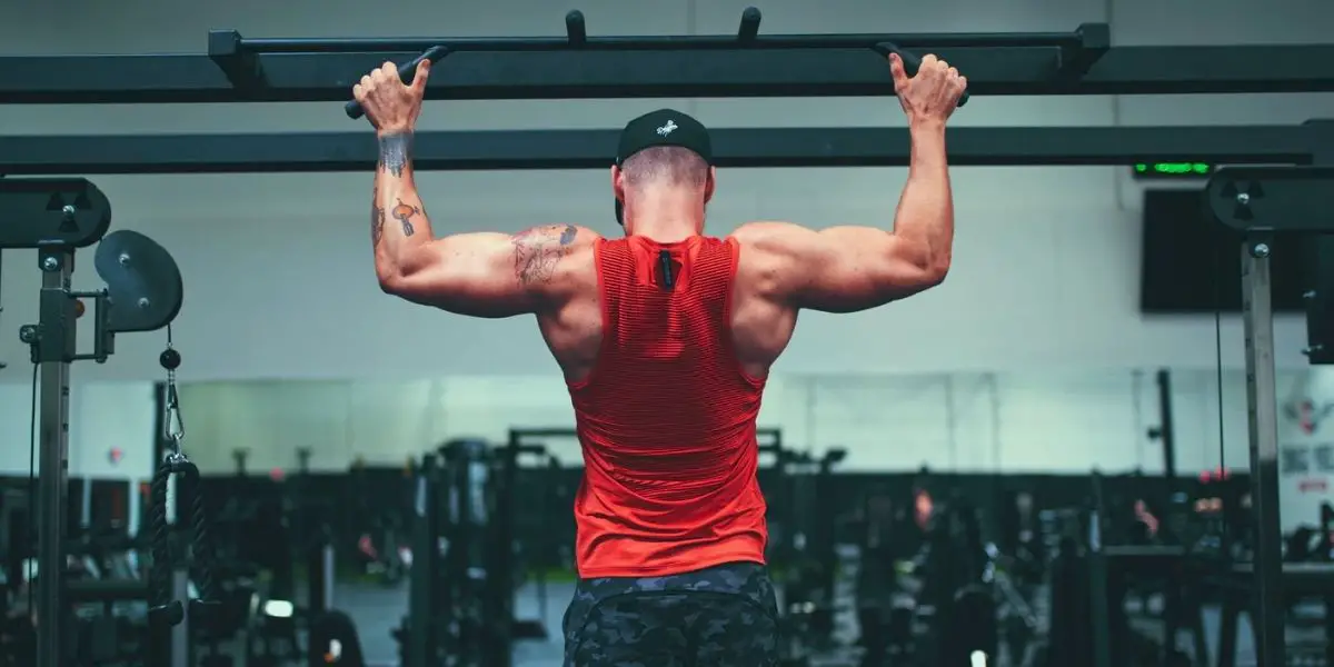 pull up workout routine for beginners