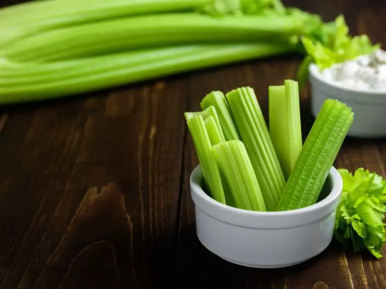 does celery break a fast